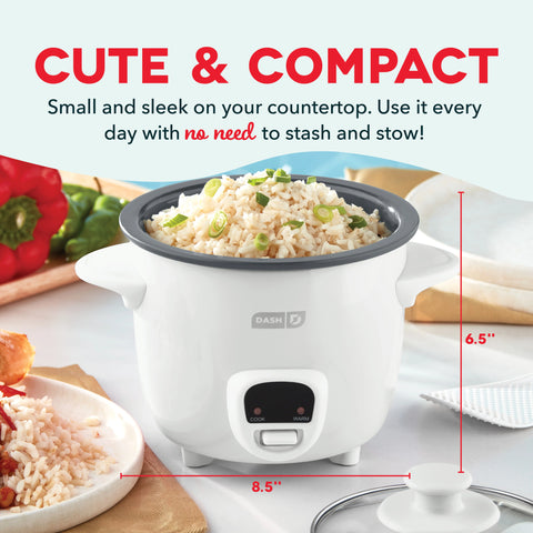 Mini Rice Cooker with Keep Warm